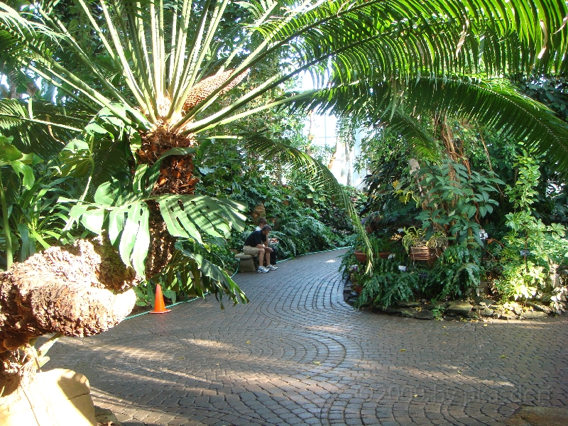 Western Michigan [2009] 169.JPG - Scenes from Frederik Meijer Gardens & Sculpture Park.